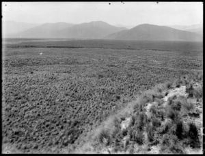 Landscape with tussock grass, Glentui, Ashley area, Canterbury