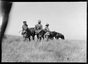 Officers at military manoeuvres, [Canterbury Plains?]