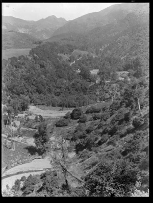 Banks Peninsula, Canterbury, showing bush and tussock areas