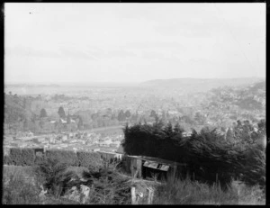Dunedin, looking from hill, showing houses and roads