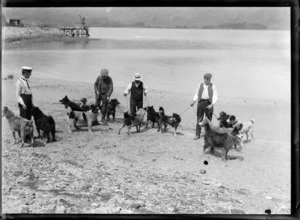 Four unidentified men walking dogs on a beach, location unidentified