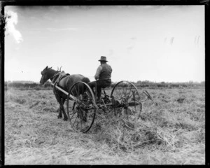 Farmer on horse drawn carriage harvesting hay in a field