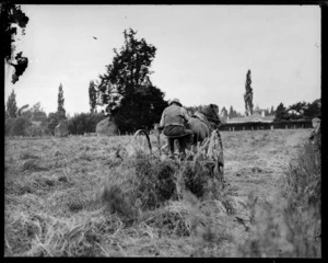 Farmer on horse drawn carriage harvesting hay in a field