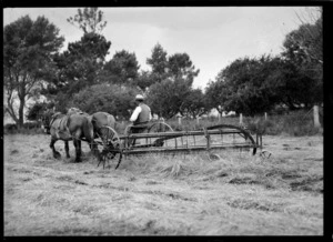 Unidentified man driving a horse-drawn harvesting machine, location unidentified
