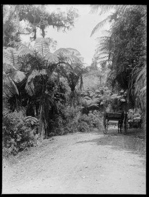 A man travelling by horse and cart on a fern lined gravel road