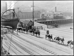 World War I departures, with soldiers walking the horses to board the ship, [Lyttelton]