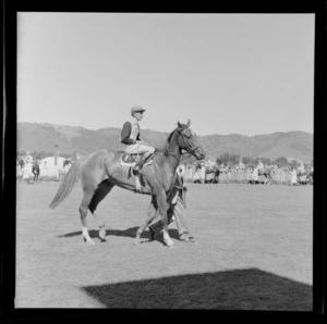 Unidentified horse and jockey, Trentham Racecourse, Upper Hutt