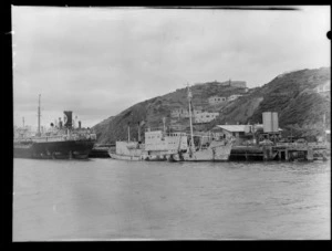 Ships including whale-chaser Olympic Winner, docked at Miramar Wharf in Evans Bay, Wellington