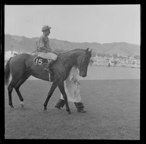 Unidentified horse and jockey, Trentham Racecourse, Upper Hutt