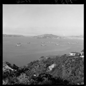 View of Russian whaling fleet in Wellington Harbour