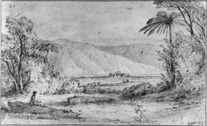 Swainson, William, 1789-1855 :[Large homestead on plain seen through bush, hills behind. Probably at Lower Hutt] 1847