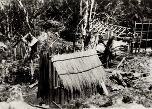 Murrays bush camp, Kaiarara area, Great Barrier Island