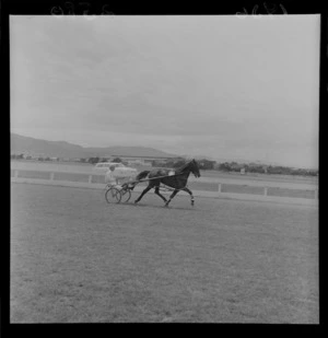 Horse, driver and sulky on race track during harness racing meet at Hutt Park Raceway, Lower Hutt, Wellington Region