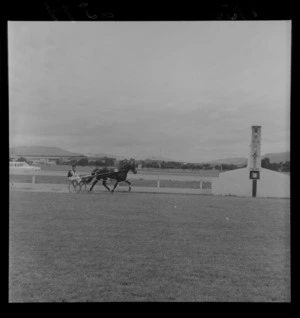 Horse, driver and sulky approach finish line during harness racing meet at Hutt Park Raceway, Lower Hutt, Wellington Region