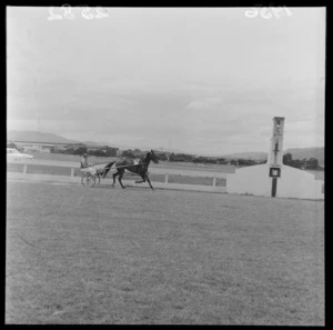 Horse, driver and sulky approaching finish line during harness racing meet at Hutt Park Raceway, Lower Hutt, Wellington Region