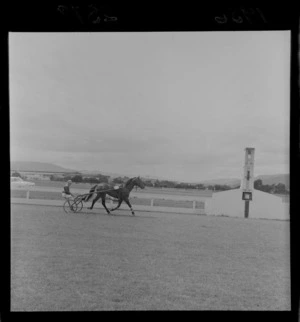 Horse, driver and sulky pass over the finish line during harness racing meet at Hutt Park Raceway, Lower Hutt, Wellington Region