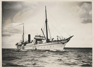 The steamship Hinemoa