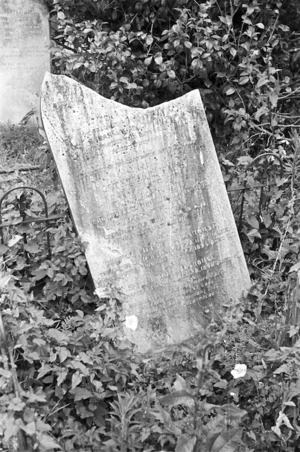 Backhouse family grave, plot 7.G, Sydney Street Cemetery.