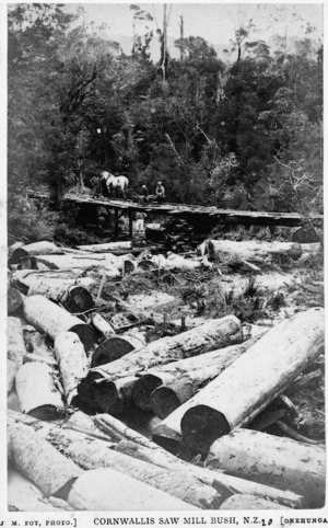 Logs alongside a logging railway at Cornwallis sawmill bush