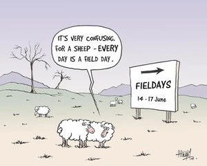 FIELDAYS 14-17 June. "It's very confusing for a sheep. EVERY day is a field day." 14 June, 2006.