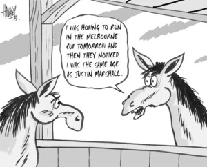 Hawkey, Allan Charles, 1941-: I was hoping to run in the Melbourne Cup tommorrow and then they noticed I was the same age as Justin Marshall. Waikato Times, 1 November 2004.