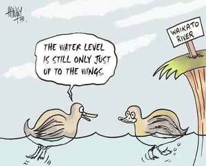 Hawkey, Allan Charles, 1941- :'The water level is still only just up to the wings.' Waikato Times, 11 August 2004.