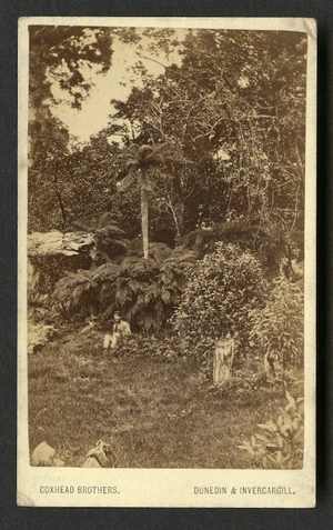 Coxhead Brothers fl 1875-1879 :Unidentified landscape