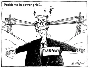 Problems in power grid?.. TRANSPOWER. 1 June, 2004