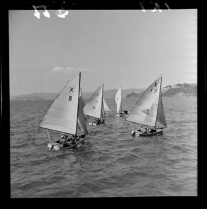 Yachts racing on Wellington Harbour in Sanders Cup trials