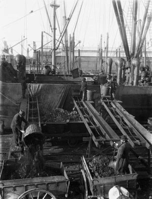 Men off loading coal from a collier, Wellington wharves