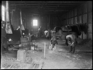 Blacksmiths shoeing horses in an unidentified forge