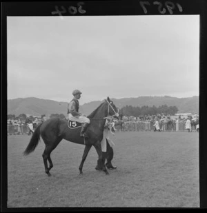 Unidentified jockey and horse at the third day of the Summer Meeting, Trentham Racecourse, Upper Hutt