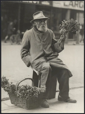 Elderly man selling flowers in Wellington