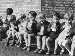 Auckland school children drinking the daily issue of free milk