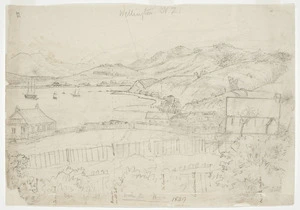 Collinson, Thomas Bernard 1822-1902 :Wellington N. Z. 1849. Gov[ernmen]t House. Te Aro Pah. Barracks on Mount Cook. The Baron's. Constitution Hill. One of the churches.