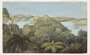 Gold, Charles Emilius 1809-1871 :Entrance to Wellington N.Z. [Between 1847 and 1857]