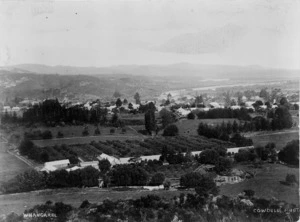 Looking over an orchard, and towards Whangarei township