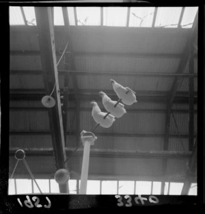 Exhibit at Industries Fair, Winter Show Building, Mt Cook, Wellington