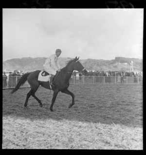 An unidentified jockey riding horse Conkeda, winner of Wellington steeplechase, at Trentham Racecourse, Upper Hutt