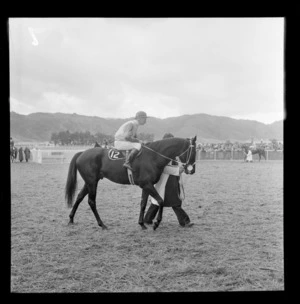 Racehorse and jockey, Trentham, Upper Hutt