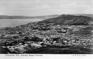 View of Wellington, showing Mount Victoria