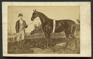 Davies, William fl 1859-1882 : Photograph of horse 'Caoutchouc' with man holding reins