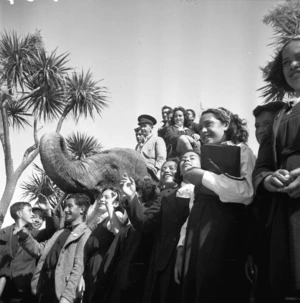 Children from Tokomaru Bay visiting the elephant at Wellington Zoo, Newtown