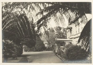 Gardens of Government House, Auckland - Photograph taken by Herman John Schmidt