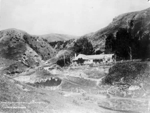 Farmhouse and surrounding area of the Hon C J Pharazyn's Whatarangi Station, beyond Lake Ferry, Wairarapa