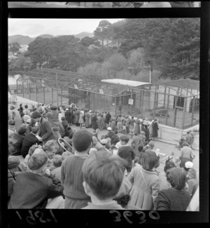 Crowd at lion and tiger cages, Wellington Zoo