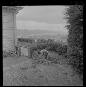 Two unidentified men showing a trench caused by lightning in the garden of a house overlooking Wellington harbour