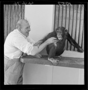 Chimpanzee and caretaker at the zoo