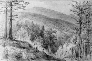 [Swainson, William] 1789-1855 :Between the Mungaroa & Pukirati Valleys. [ca 1845]