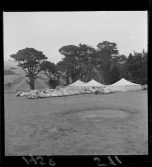 Reunion of the Bryant family at Ohariu Valley, Wellington